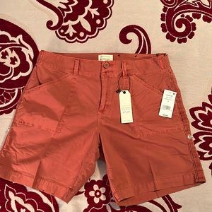 Sanctuary Size 31 Terracotta Color Shorts